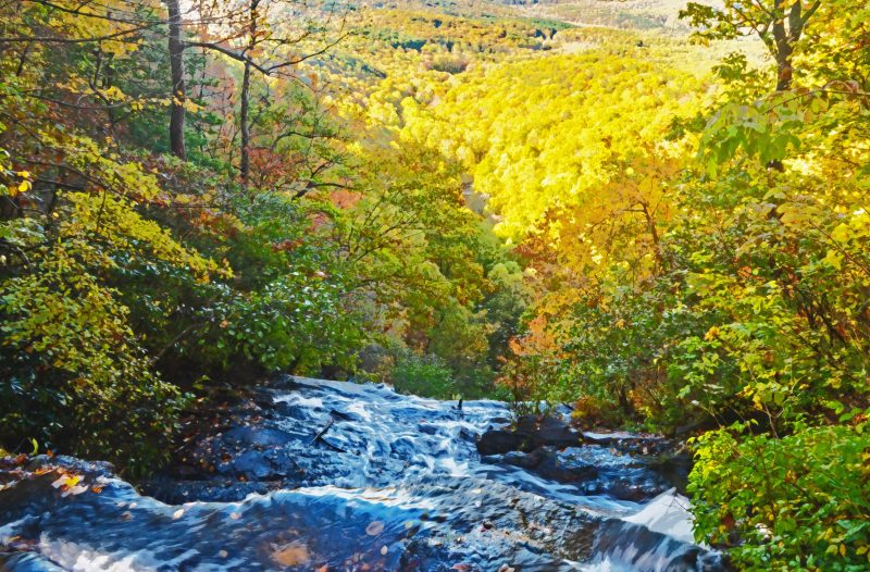 Chase Elliott’s first race win car