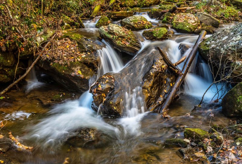 Smith creek, downstream from Anna Ruby Falls