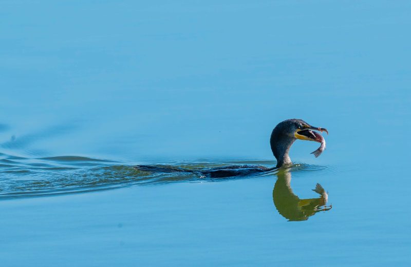Breakfast at Circle B