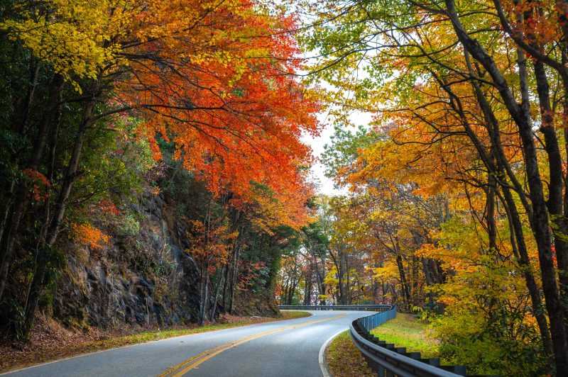 Road to Brasstown Bald